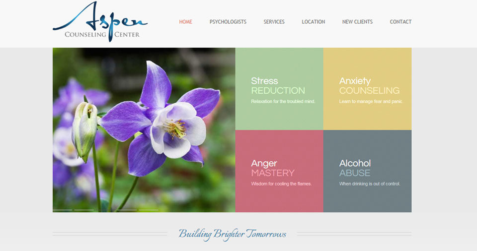 Aspen Counseling - Drupal Hosting & Digital Marketing