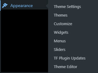 WordPress appearance menu