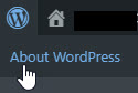 Finding WordPress version